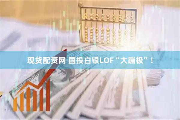 现货配资网 国投白银LOF“大蹦极”！